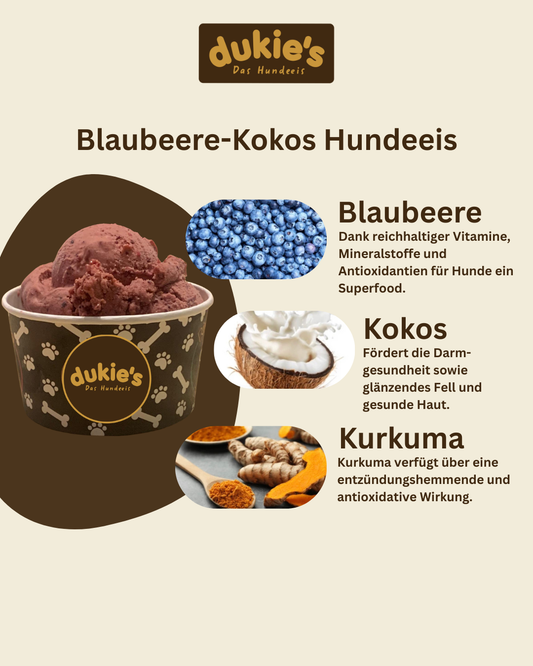 dukie's Hundeeis - Blaubeere-Kokos (6x 110g Becher)