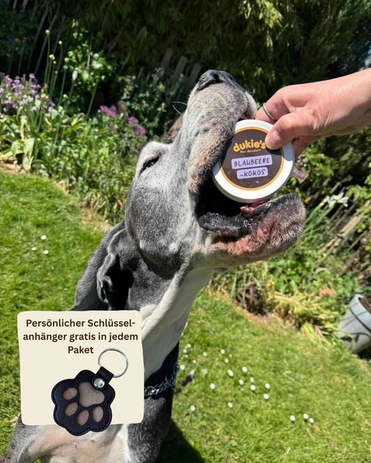 dukie's Hundeeis - Blaubeere-Kokos (6x 110g Becher)